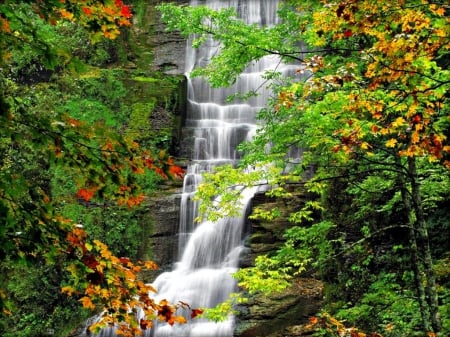 Rocks waterfall - falling, forest, rocks, cliffs, quiet, leaves, nature, autumn, colorful, cascades, fall, greenery, water, waterfall, branches, serenity, calm