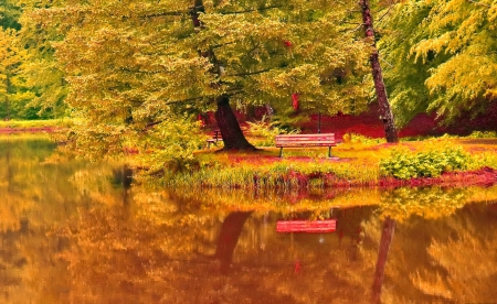 Bench in autumn park - nice, lakeshore, season, autumn, trees, bench, foliage, fall, quiet, reflection, calmness, pond, relax, lake, falling, park, lovely, serenity, nature, tranquility, forest, beautiful, rest, leaves