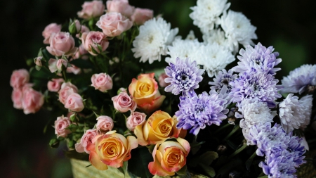 Still Life - flowers, rose, orange, amazing