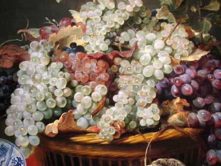 Grapes Still Life