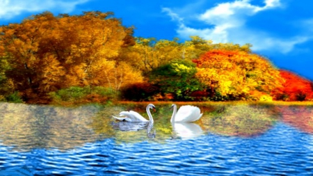 ~*~ Autumn Love! ~*~ - fall, lake, swans, autumn