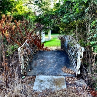 Creepy Overgrown Footbridge