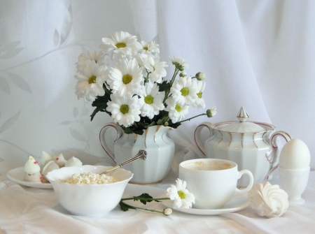 Still life - white, nature, flowers, pure