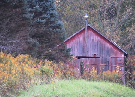 Old Country Barn - nature, autumn, architecture, field, barn, country