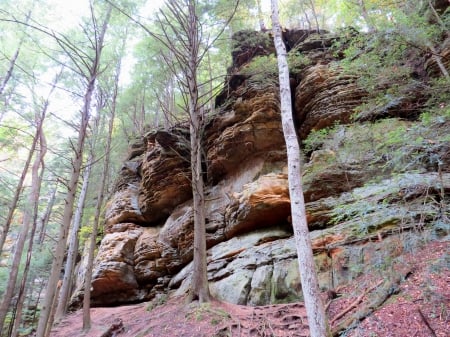 Cliff at Hocking Hill's - trees, stone, boulder, Hocking Hill, Ohio, forest, nature, cliff, pine