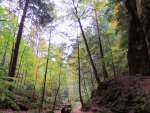 Pathway in Hocking Hill's