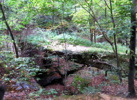 Natural Rock Bridge - force of nature, trees, stone, water, Hocking Hill, Bridge, creek, Ohio, rock, stream, forest, architecture, path, park