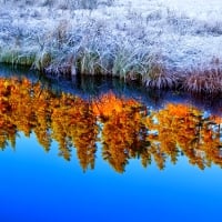 Winter - autumn - mirror