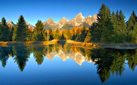 Fall reflections - nice, lakeshore, season, sky, trees, autumnm, clear, mirrored, reflections, crystal, fall, quiet, glowing, river, clouds, sunny, cliffs, lake, falling, mountain, silent, shore, lovely, peak, serenity, nature, beautiful