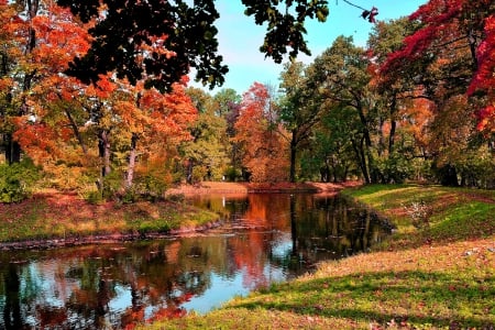 Autumn park - quiet, creek, stream, forest, reflection, leaves, calmness, shore, lake, nice, falling, trees, serenioty, lovely, beautifyl, fall, river, nature, tranquility, autumn, foliage, park