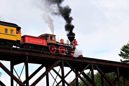 Leviathan No.63 - train, old, locomotive, classic, steam