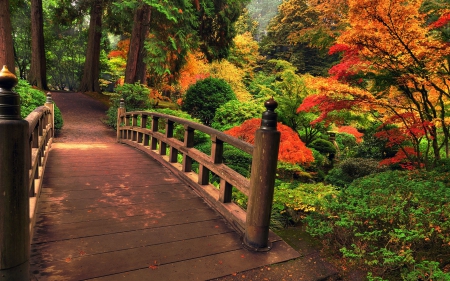 Japanese Garden - fall, path, trees, autumn, colors