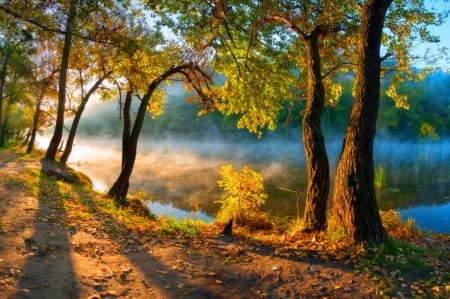 Autumn morning - yellow, earth, leafless, mixed leaves, fruit, sky, sun, water, fog, colors, morning, fall, river, nature, season, green, autumn, cold, day