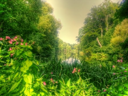 The Garden - nature, lake, flower, sun