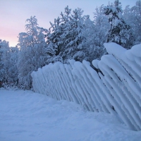 Winter frost