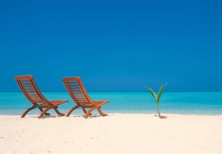 Decks Chairs on White Sand - beach, paradise, chairs, white, polynesia, lagoon, tree, sand, ocean, islands, tropical, deck, palm, exotic, blue, island, south pacific, sea