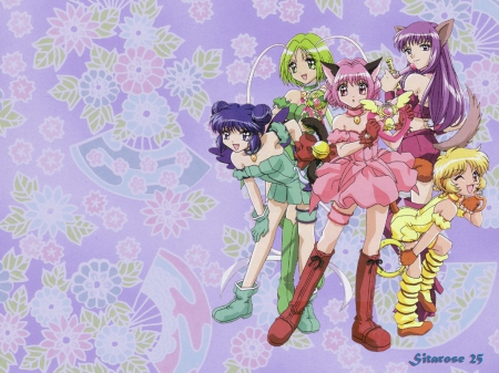 Tokyo Mew Mew - lettuce midorikawa, mew mew power, tokyo mew mew, pudding fong, zakuro fujiwara, ichigo momomiya, mint aizawa