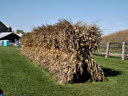 corn stalk shocks - corn, nature, corn stalks, farm