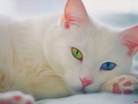 cute art  cat - white, art, abstract, cat