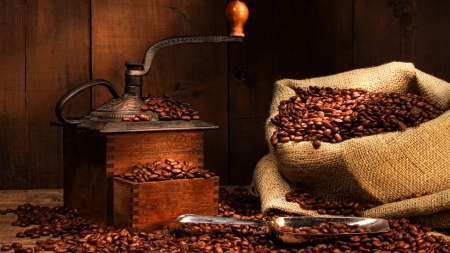 *** Fresh coffee *** - food, fresh, grounder, coffee