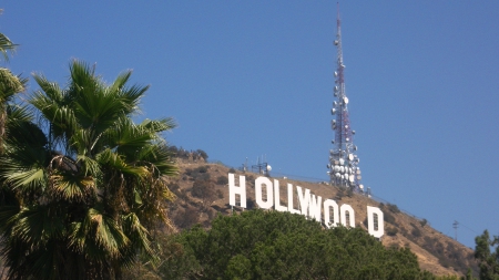 Hollywood Sign - hollywood, nature, california, mountain, sign