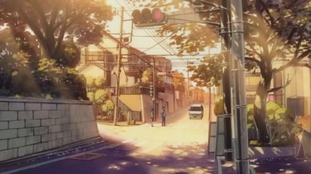 anime - shounen, tree, shoujo, trafic