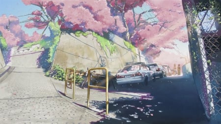 anime - sakura, yellow, pink, cars, scenery, tree