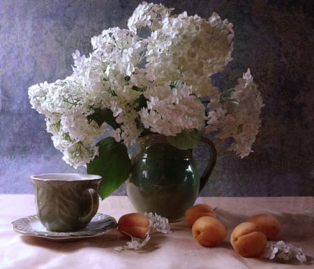 Still life - white, nature, flowers, vase