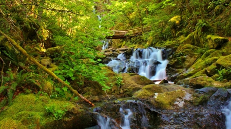 Rodney Falls - greenery, nature, waterfall, flowing