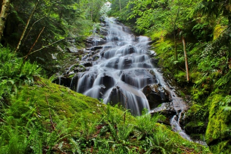 Serene Greenery - serene, greenery, nature, waterfall