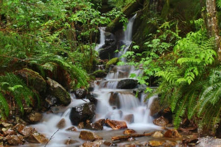 Waterfall - greenery, nature, flowing, waterfall