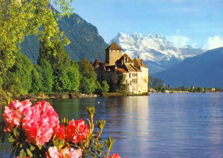 Chillon castle - nice, trees, water, reflection, chillon, castle, river, snowy, lake, mountain, summer, shore, peaks, lovely, blue, beautiful, flowers