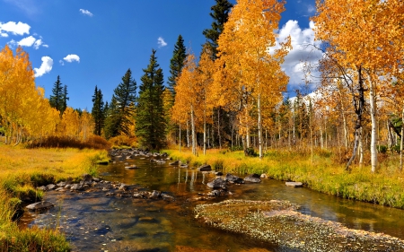 Autumn creek - season, nice, sky, autumn, stream, colorful, foliage, creek, fall, quiet, river, falling, lovely, nature, burch, forest, beautiful, leaves, stones, colors