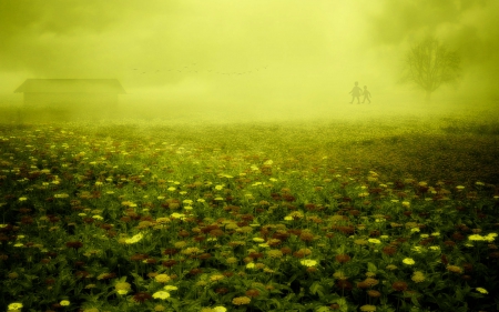 I remember... - nature, fields, abstract, flowers