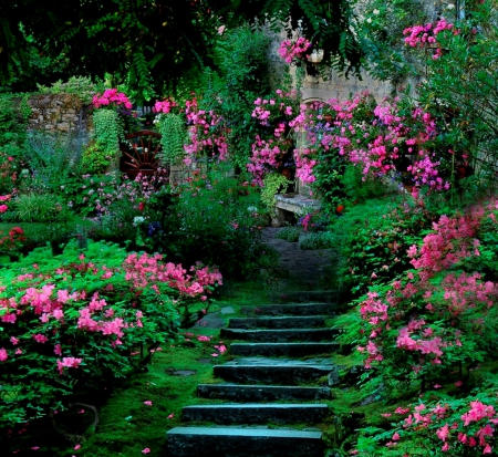 Dream garden - image, wallpaper, color, expression, new