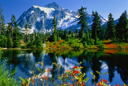 Mountain air - lakeshore, nice, sky, trees, paradise, clear, rocks, crystal, quiet, reflection, calmness, snowy, cliffs, lake, air, mountain, lovely, peak, serenity, nature, beautiful, flowers, colors