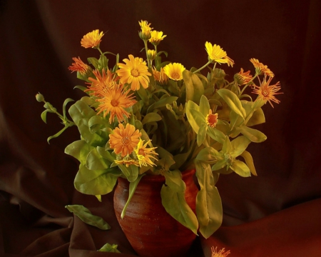 Still life - flowers, vase, still life, petals