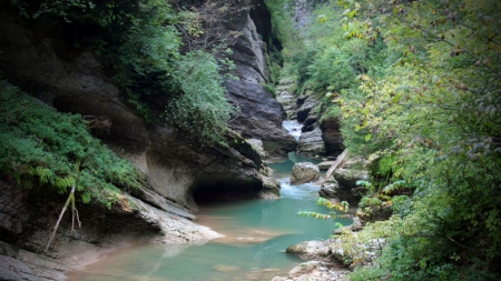 gorgeous mountain river gorge - river, trees, mountains, gorge, rocks