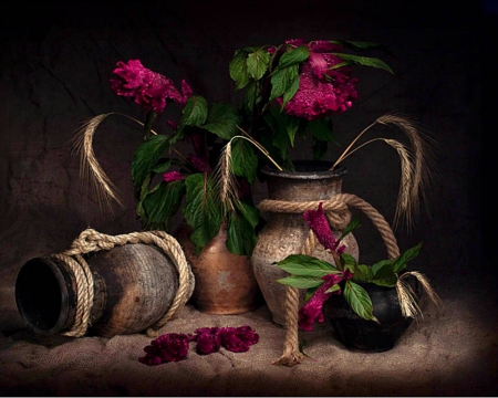 Still life - flowers, jars, still life, vase