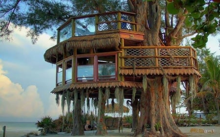 Luxury Treehouse - nature, ocean, tree, house