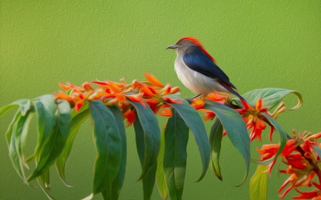 Sparrow - flowers, bird, sparrow, abstract, paint