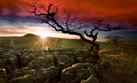 Deserted Land - hills, red, cloud, tree, sun, sky