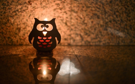 Owl lantern - owl candle lantern, candle, photography, light, owl lantern, abstract, cool, lantern, cute