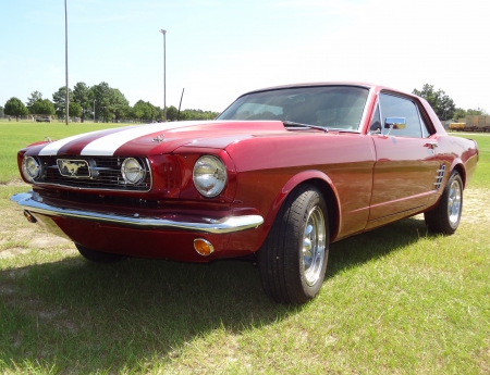 Ken McInnis's 66 Ford Mustang - Ford Mustang, Ford, ponycar, 66 Mustang