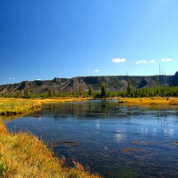 Madison River Yellowstone Park fly fishing today