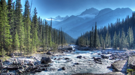 wild mistaya river in alberta canada hdr - forest, raids, river, hdr, mountains, rocks