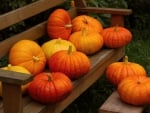 *** PUMPKIN - Autumn harvest ***