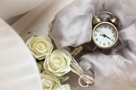 Soft Image - watch, roses, time, soft