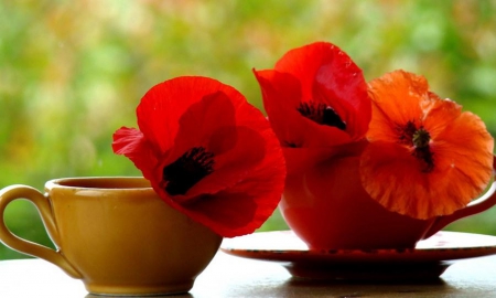 â™¥good morningâ™¥ - coffee, cups, red, flowers, still life