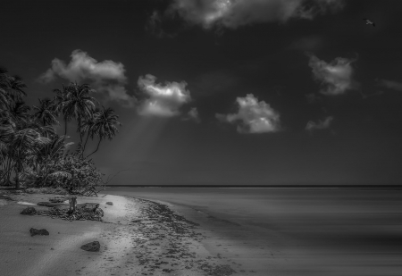 Beach - sea, black and white, nature, beach